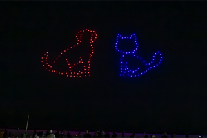 Dog-Cat-Watching-Show-300x200.png